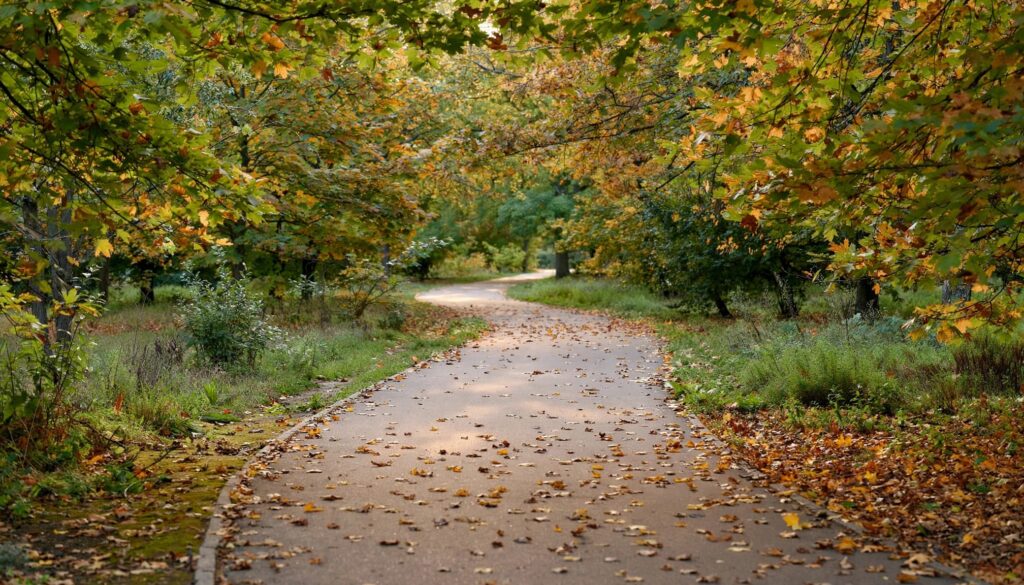 How to Get Over Being Cheated On After a Breakup 4 Empty park path curving between trees in soft afternoon light