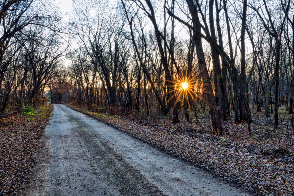 The Stages of Breakup Grief: What to Expect and How to Move Forward 4 Sunlight shining through trees along a quiet path